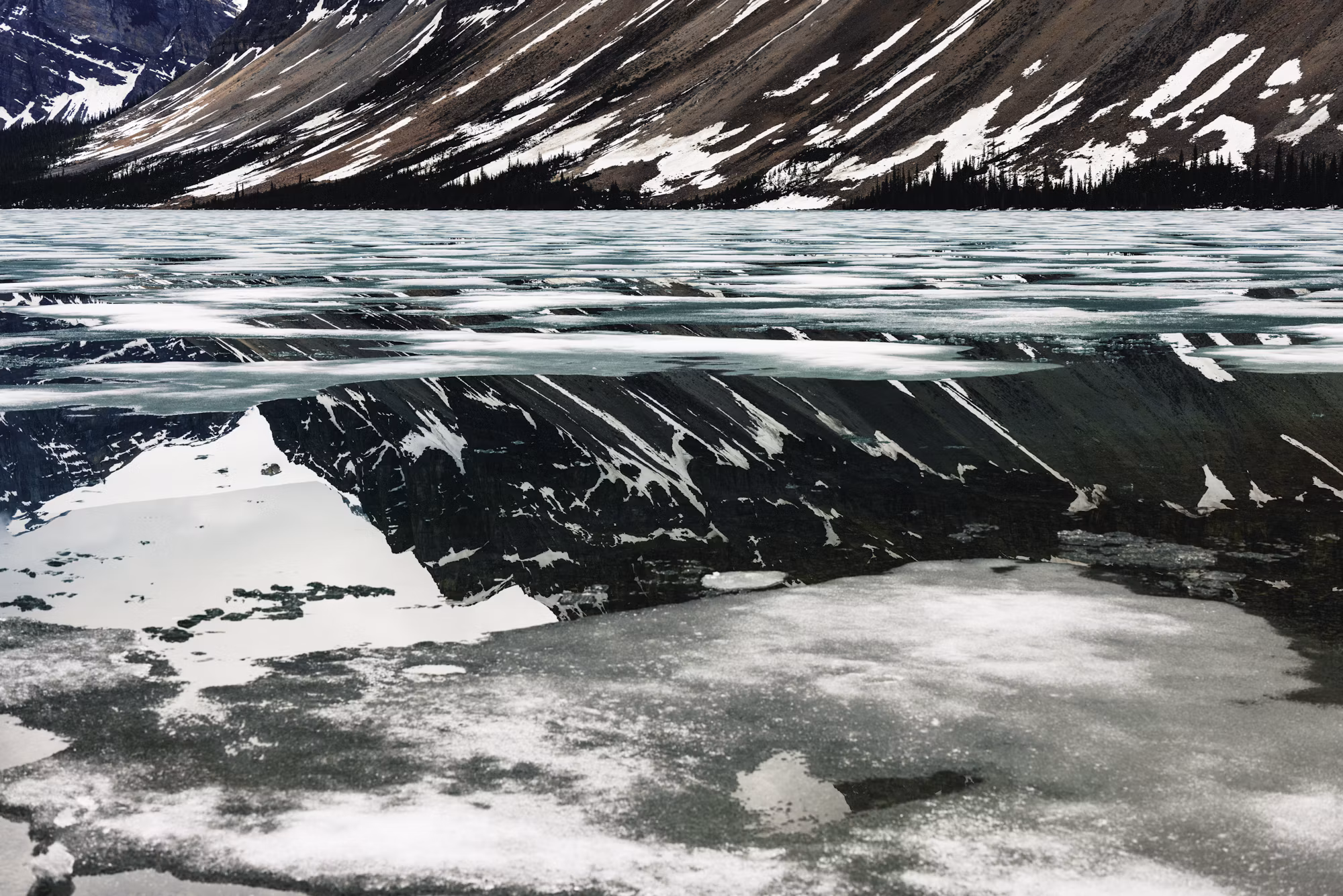 Exploring the World of Sustainable Fashion: A Path to Conscious Consumerism